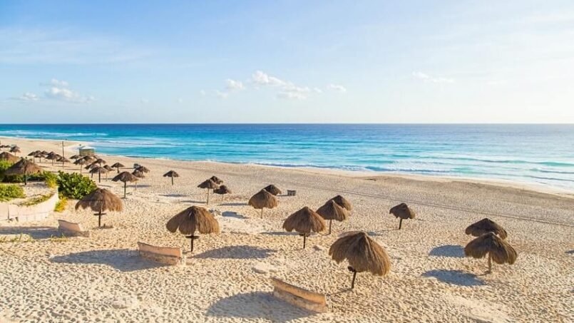 Learn About Local Festivals