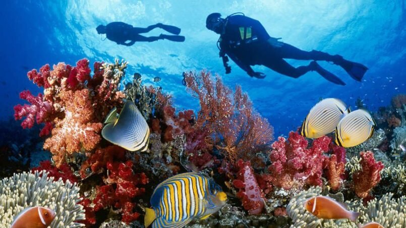 5 Fun Activities For Holidays