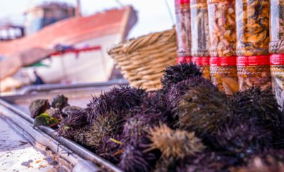 Activités à Essaouira : 10 choses incontournables à faire en vacances | Berber Stays