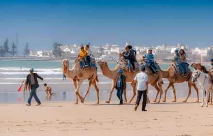 image de la propriété