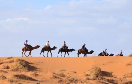 Balade en Dromadaire à Essaouira | Expérience Authentique